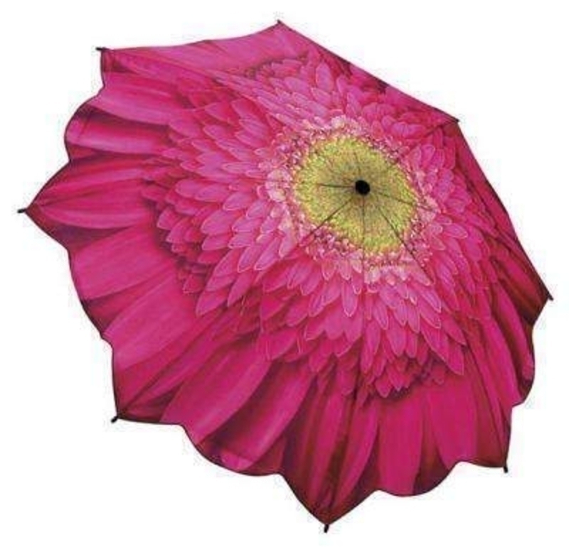 Cerise Gerbera Umbrella By Blooming Brollies - Folding